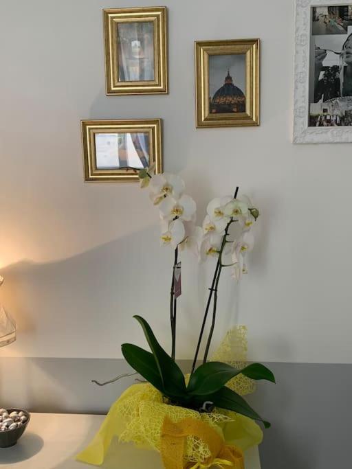 A Casa Di Clara